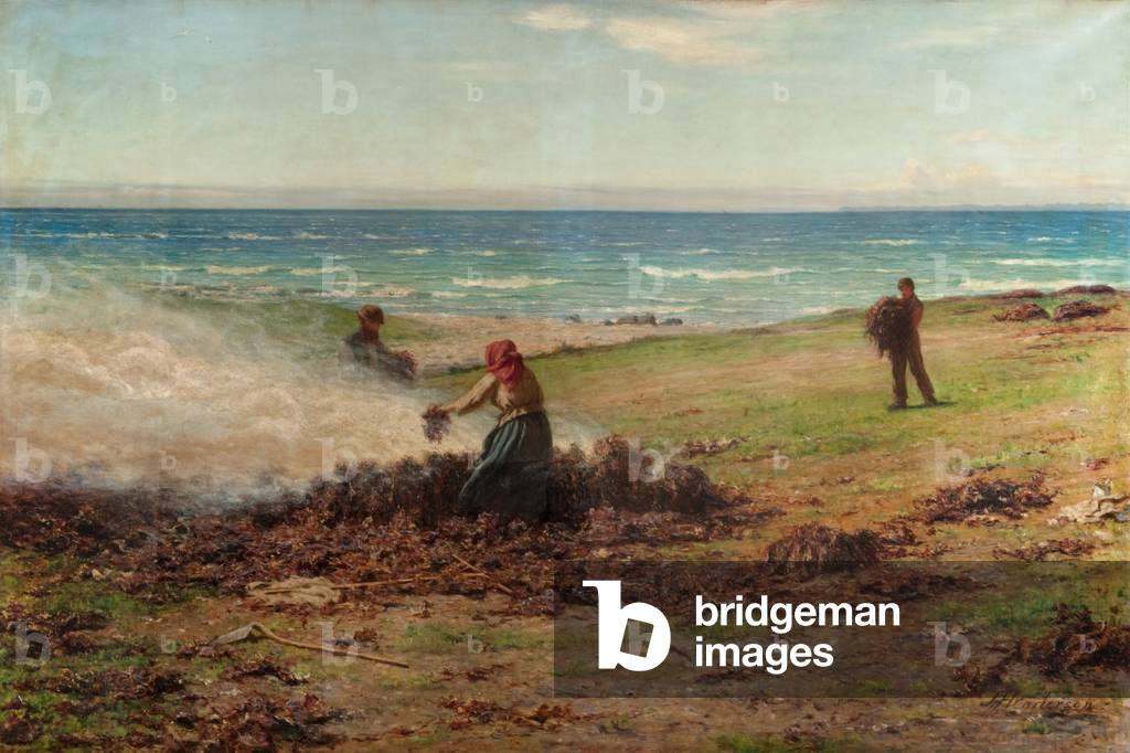 Burning fuco (olio su tela)