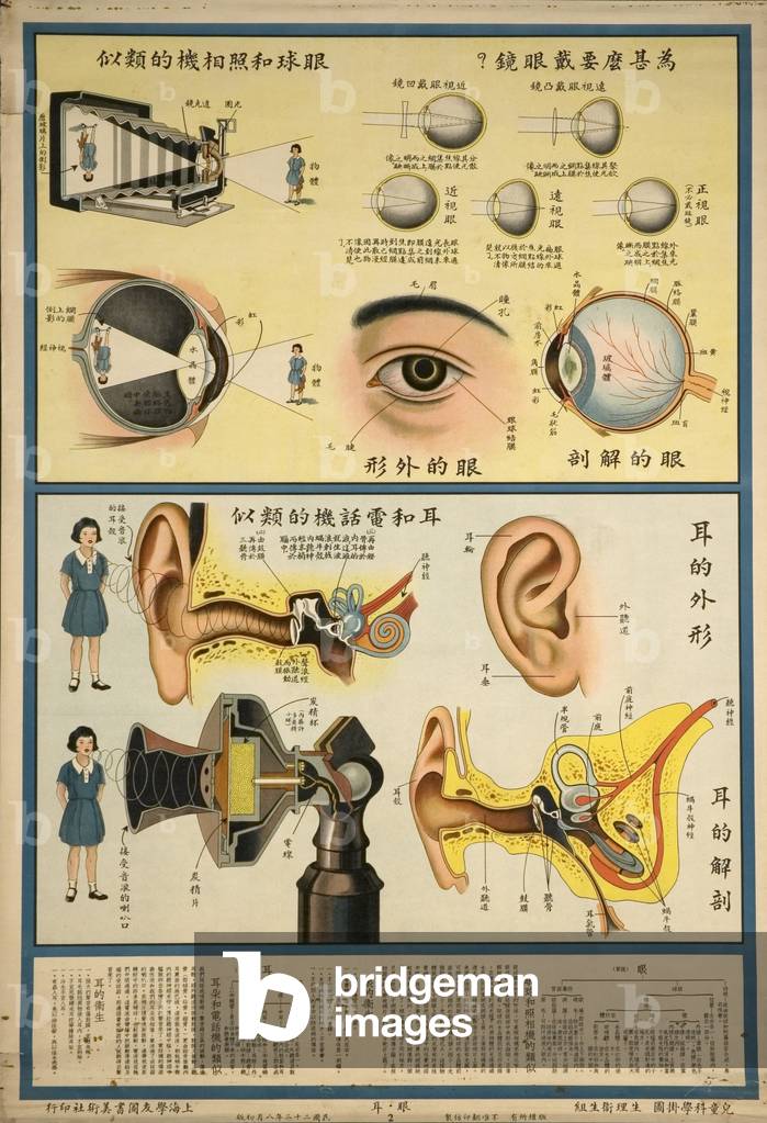 Image of Anatomy Chart of the Eye compared to a camera (engraving)