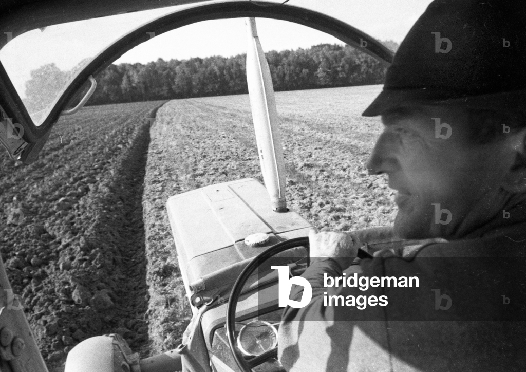Agricoltori durante il lavoro nei campi nel Muensterland 1971 DEU, Germania, Muensterland Agricoltori durante 