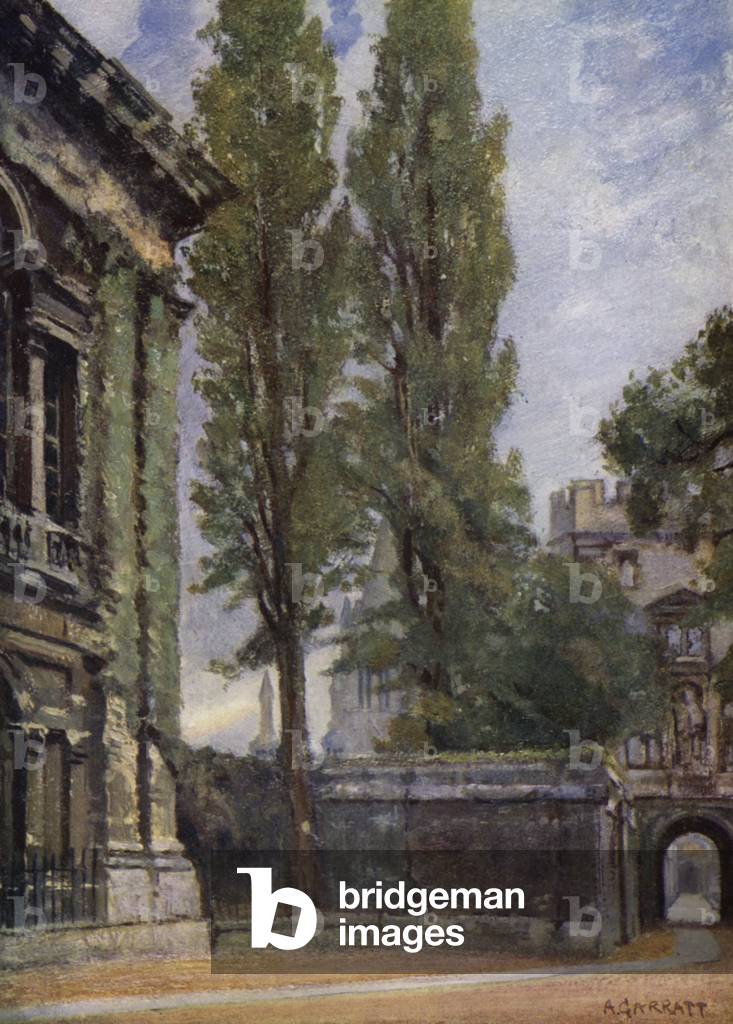 "Kill-Canon (colore litico)" di Arthur Paine Garratt