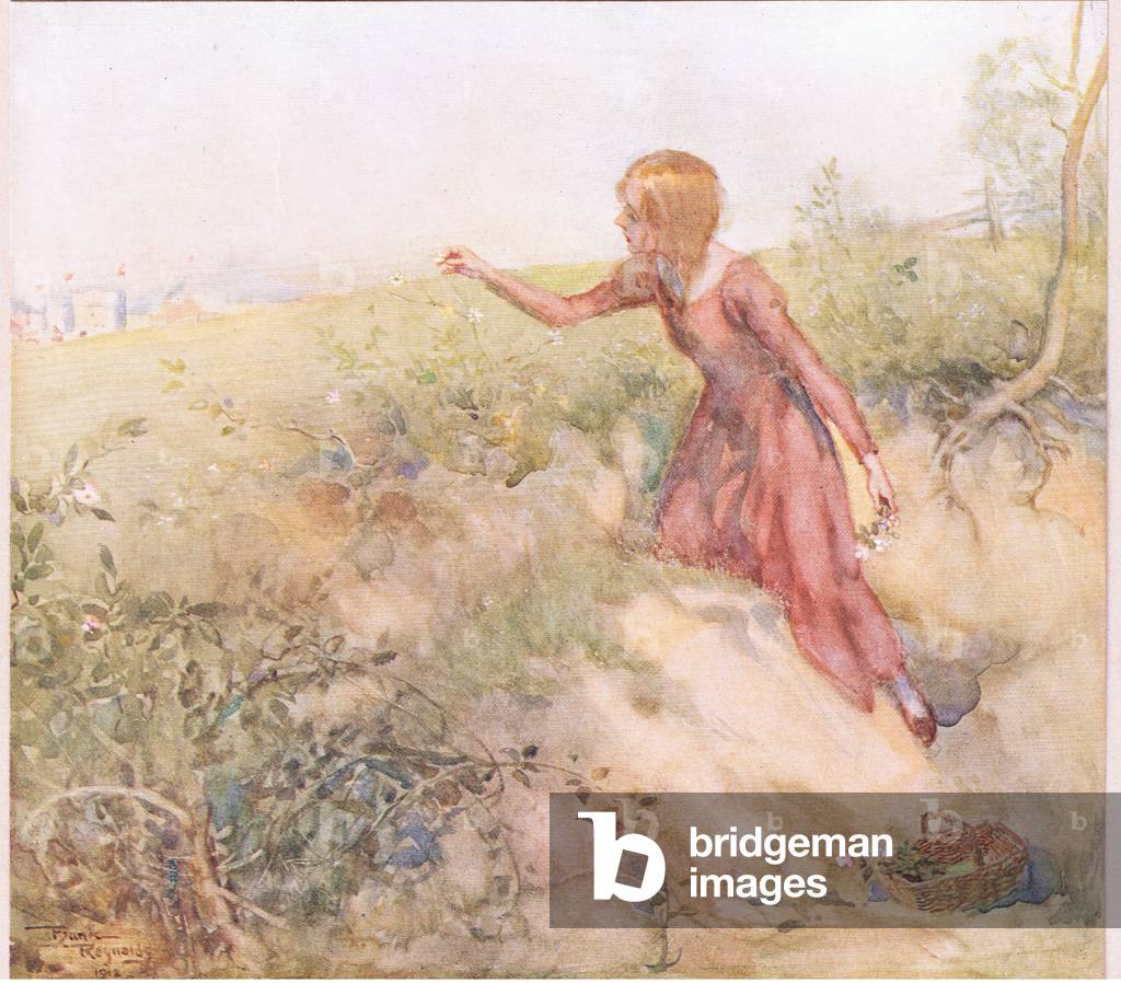 Poco dopo il sorgere del sole del mattino, lei è scappata dalla tenda e vagando in alcuni campi, una distanza 