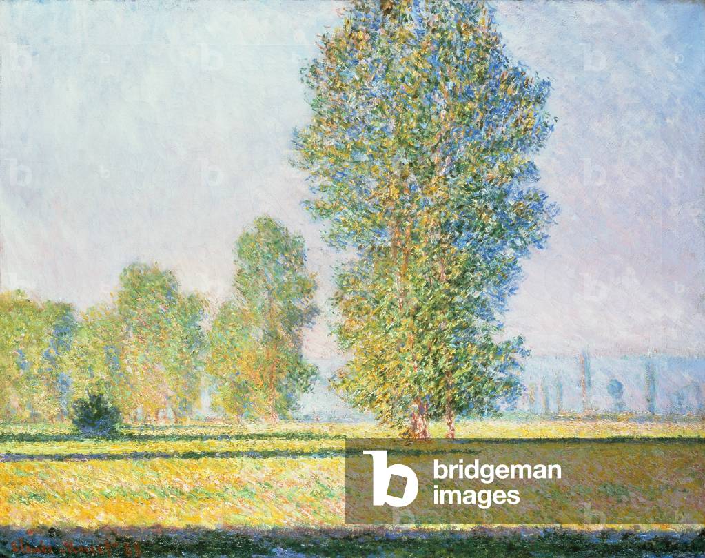 Die Wiese von Limetz, 1888 (Öl auf Leinwand)