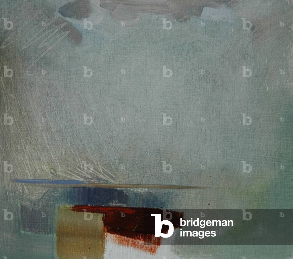 Island 2012 (Öl an Bord)