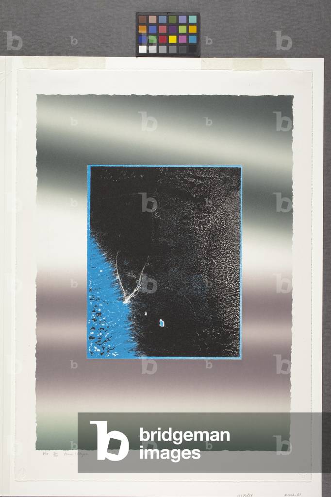 Image of Print depicting Vio (colour lithograph) by June Wayne