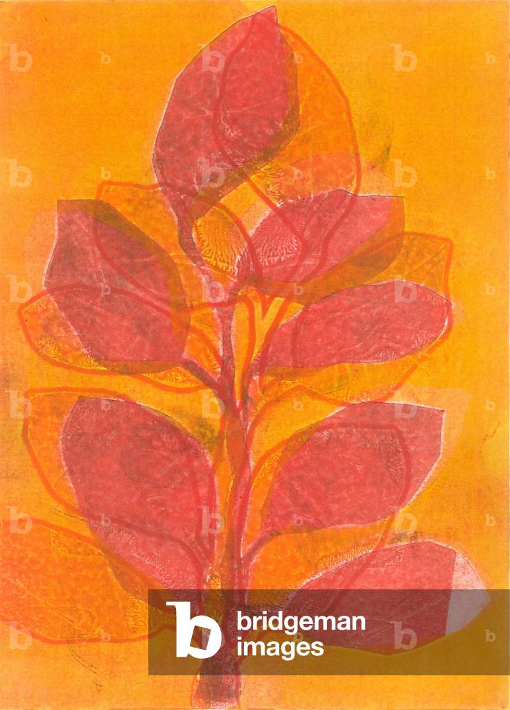 Summer Garden II, 2015 (monoprint su carta)