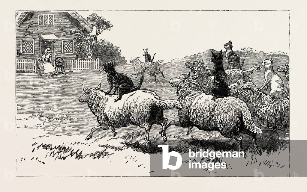 Le fermier Bientôt entendu où son mouton est allé Astray, 1890 par English School, b/w