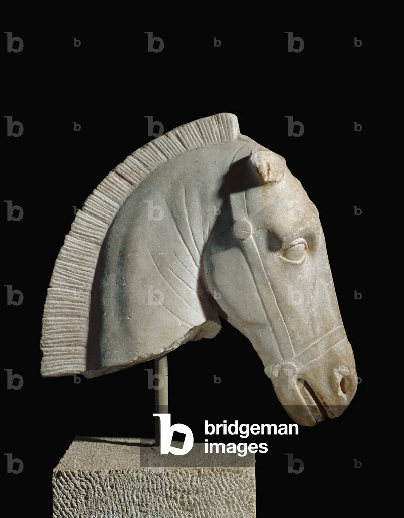 Immagine di Scultura "Testa di cavallo" -500 di Erich Lessing