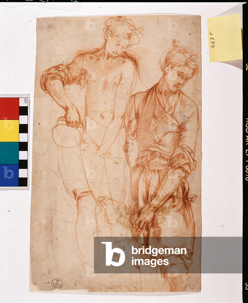 Studies, recto (drawing)