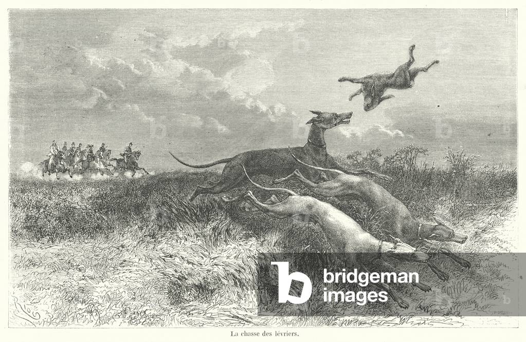 "La chasse des levriers (Gravur)" 1900 von French School