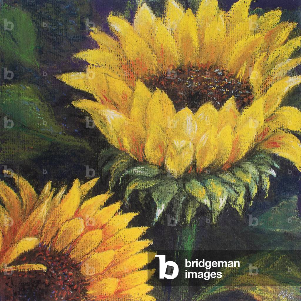 Girasoli, 2016 (pastello)