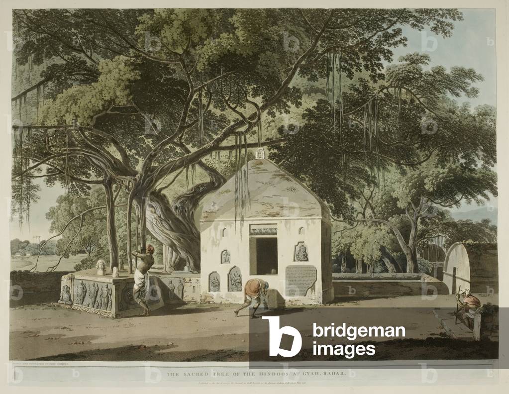 People at a temple under a sacred tree.