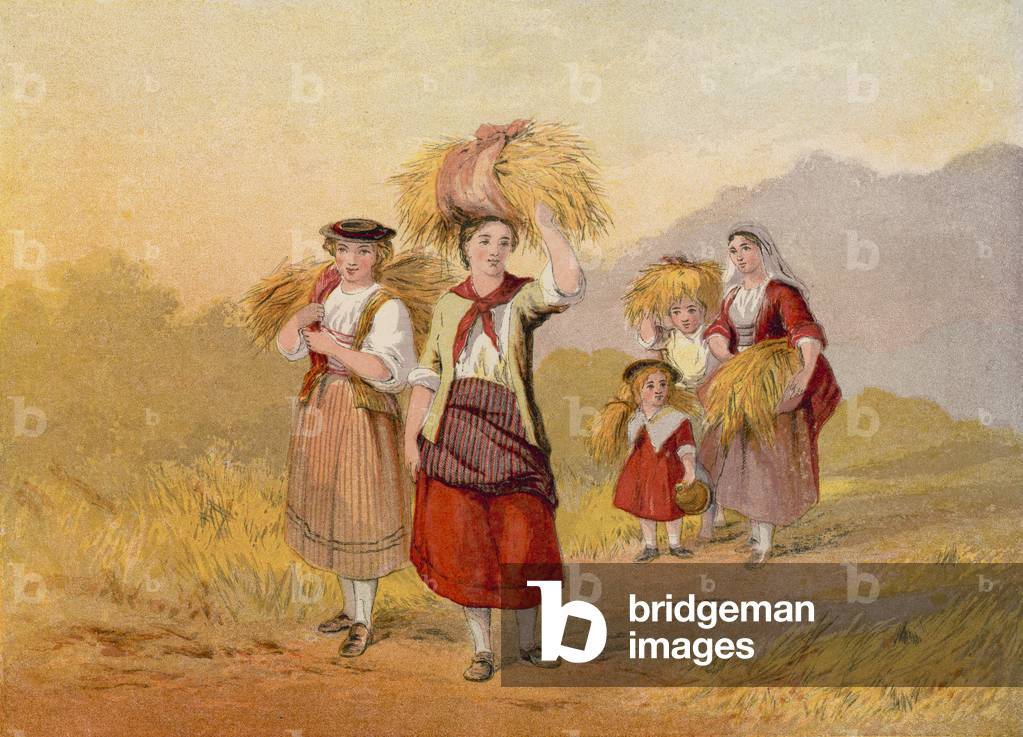 The Gleaner s Return (Farbe litho)