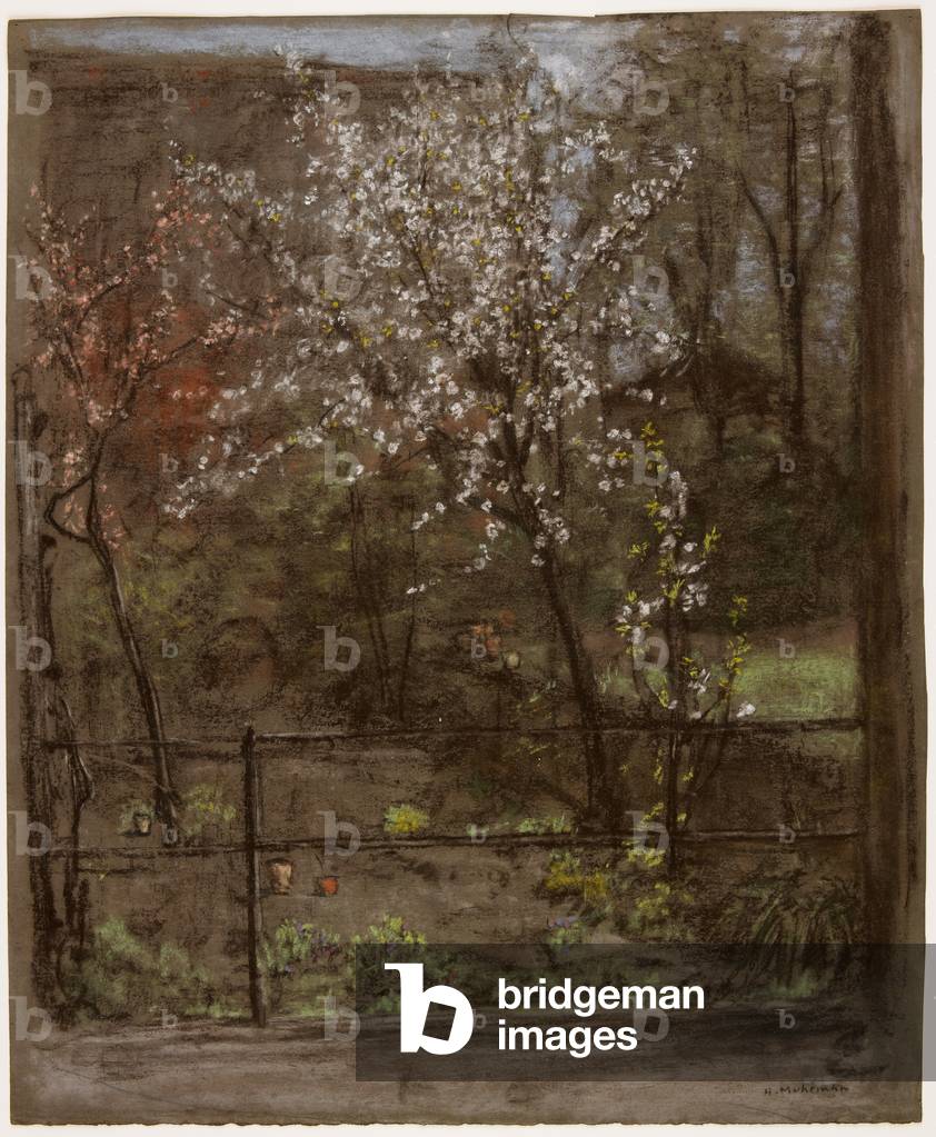 Immagine di Disegno "Fiori primaverili (pastello)" di Henry Muhrmann