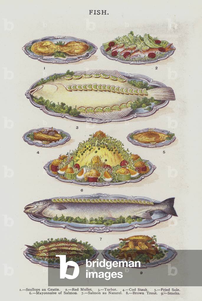 "Pesce (cromolito)" di English School