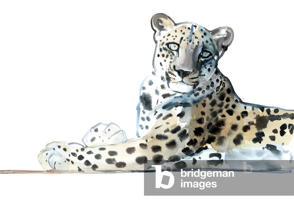 Immagine di Disegno "

Tilt (Arabian Leopard)" 2015 di Mark Adlington