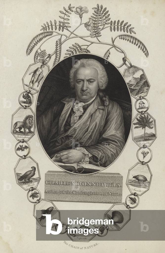 "Charles Bonnet (Gravur)" von English School, b/w
