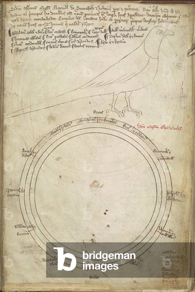 Unvollendete Zeichnung eines Diagramms der Winde, mit einem Vogel [Fasan?]