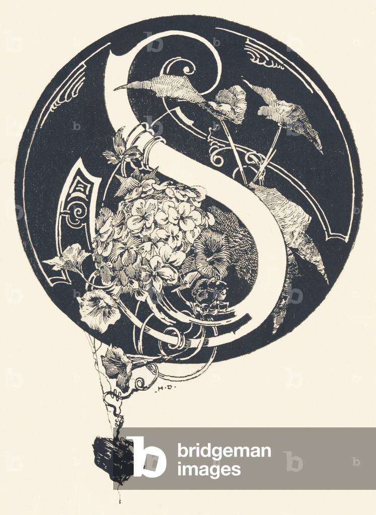 Immagine di Incisione "Lettera S maiuscola decorata con motivi vegetali." 1880 di Lafayette Studio