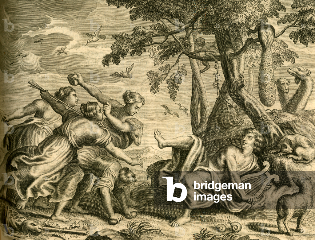 Immagine di Incisione "La morte di Orfeo" 1702 di Martin Bouche