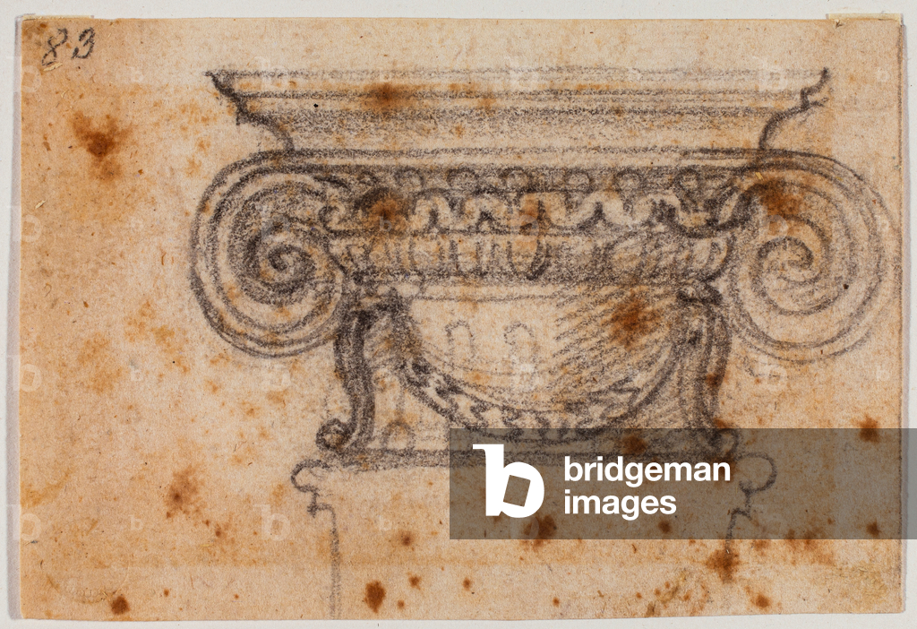 Ionic capital study, 16th century (drawing)