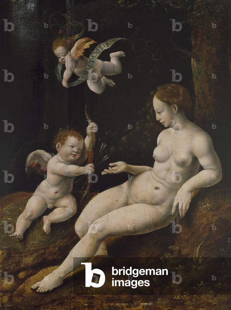 Venus und zwei Amores, um 1528 (Öl auf Holz)