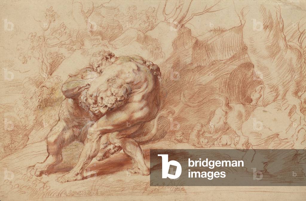 "Ercole Strangolando il Nemea Leone", c.1620 di Peter Paul Rubens, b/w