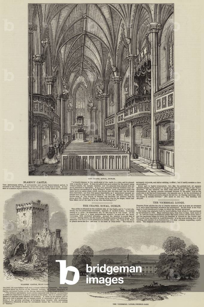 Scenes in Ireland (engraving)