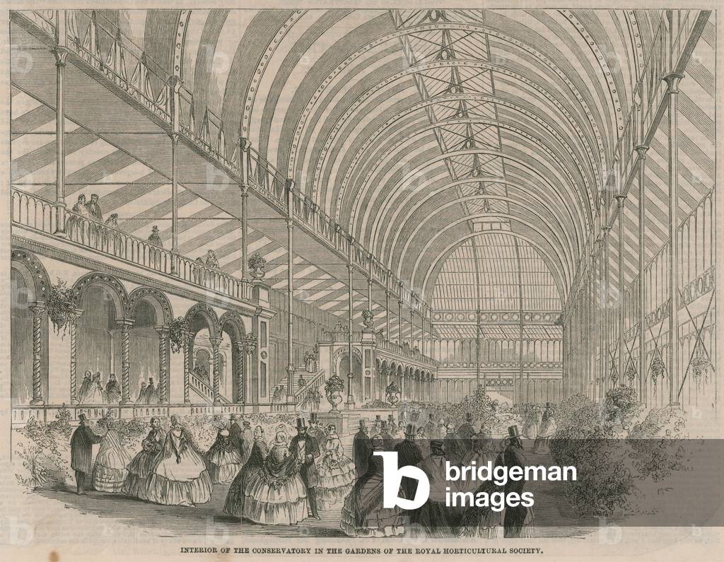 "Innere des Wintergartens in den Gärten der Royal Horticultural Society (Gravur)" von English School