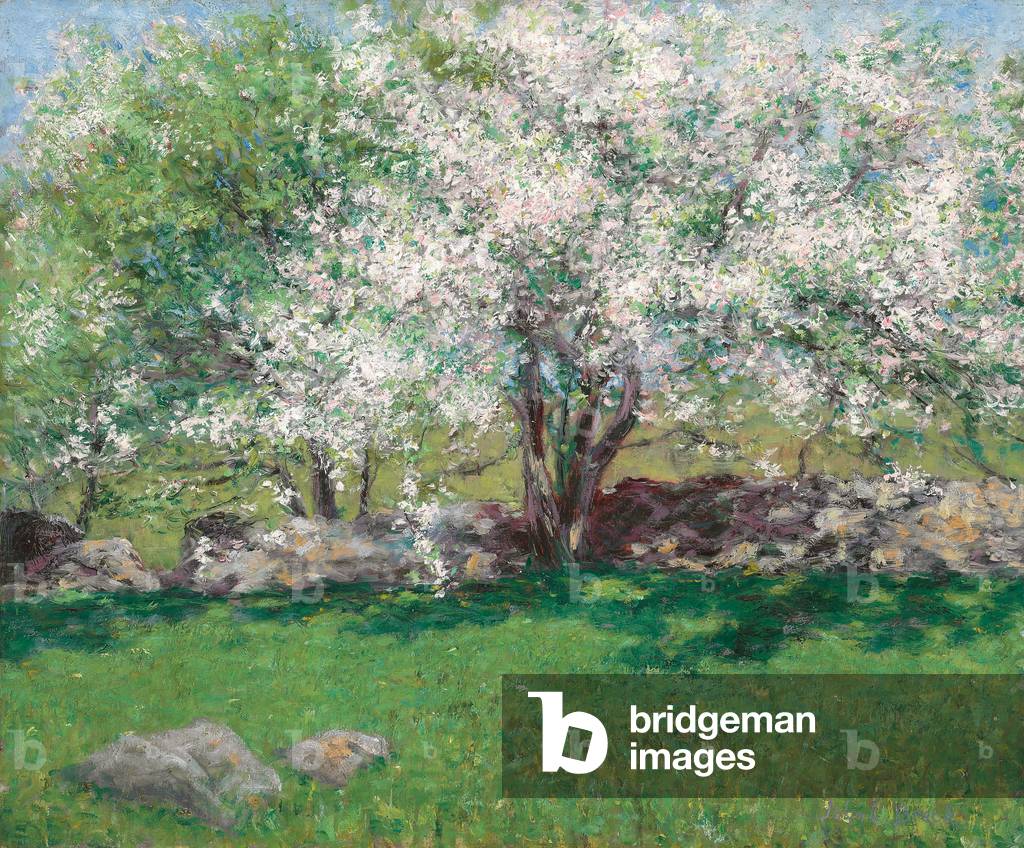 Apfelbäume, c.1889 (öl auf leinwand)