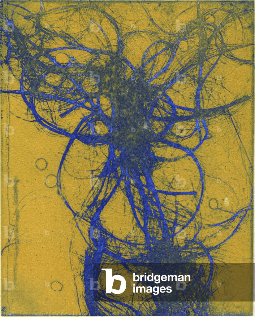 The Entangled Self 12, 2013 (acquaforte)