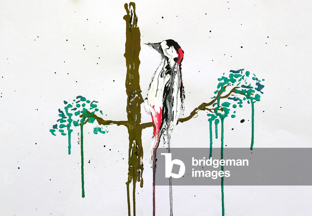 Woodpecker, 2026 (ink on paper)