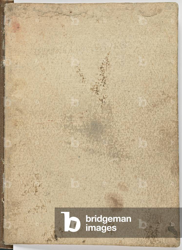 Codice sul volo degli uccelli, c. 1505-06, manoscritto cartaceo, cc. 18, I di copertina