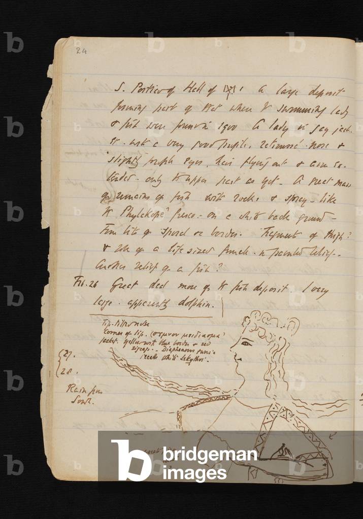 Diario, pagina 24 dello scavo del Palazzo di Minosse a Cnosso nel 1902 da parte di Sir Arthur Evans, intorno a
