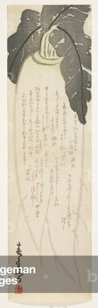 "Daikon Rettich", 1864 von Shunsei, b/w