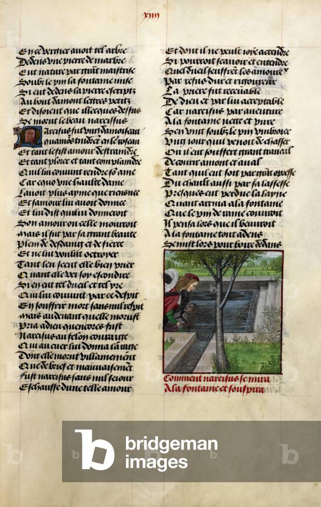 Immagine di Miniatura "Miniatura di Narciso che ammira il suo riflesso" 1401 di Master of the Dresden Prayer B