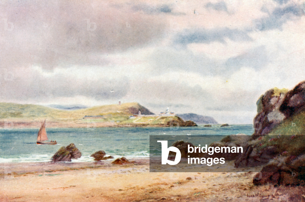 Image of Print depicting Entrance to Cork Harbour (colour litho) 1901 by Alexander Williams