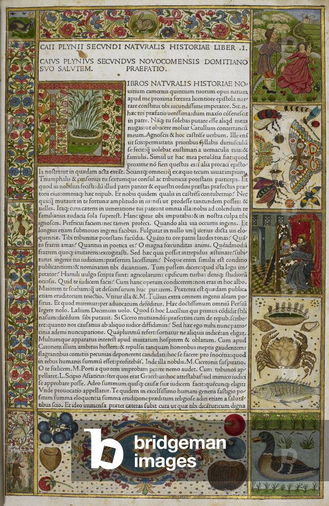 "Beleuchtete Seite mit den Armen von Lorenzo de Medici"