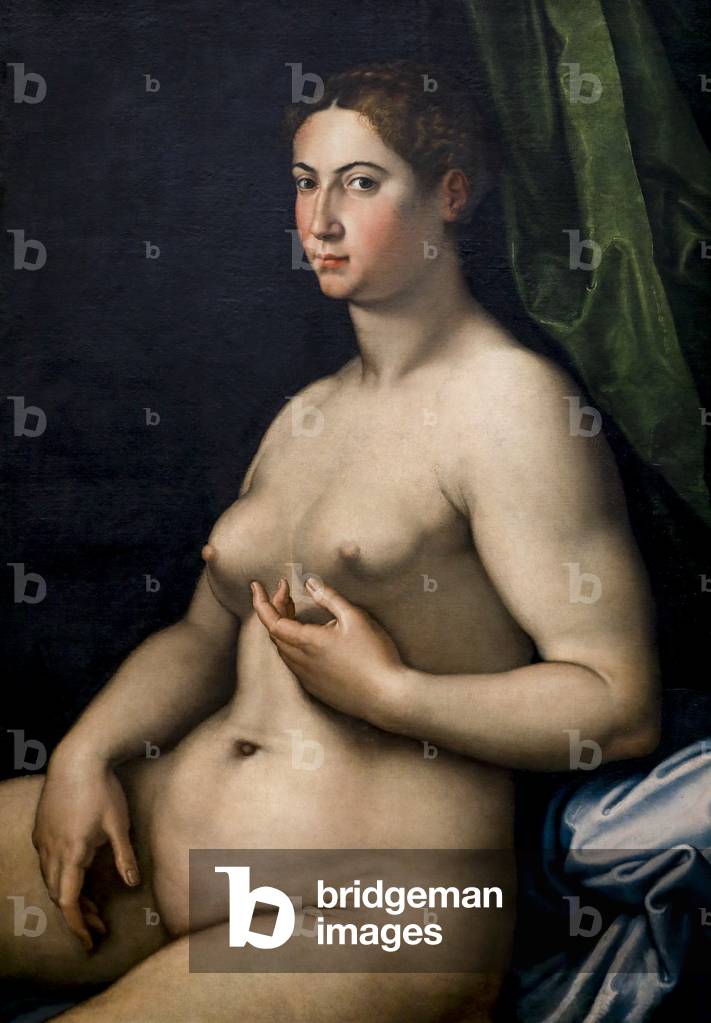 Bildnis einer Frau. 16. Jahrhundert (Öl auf Leinwand)