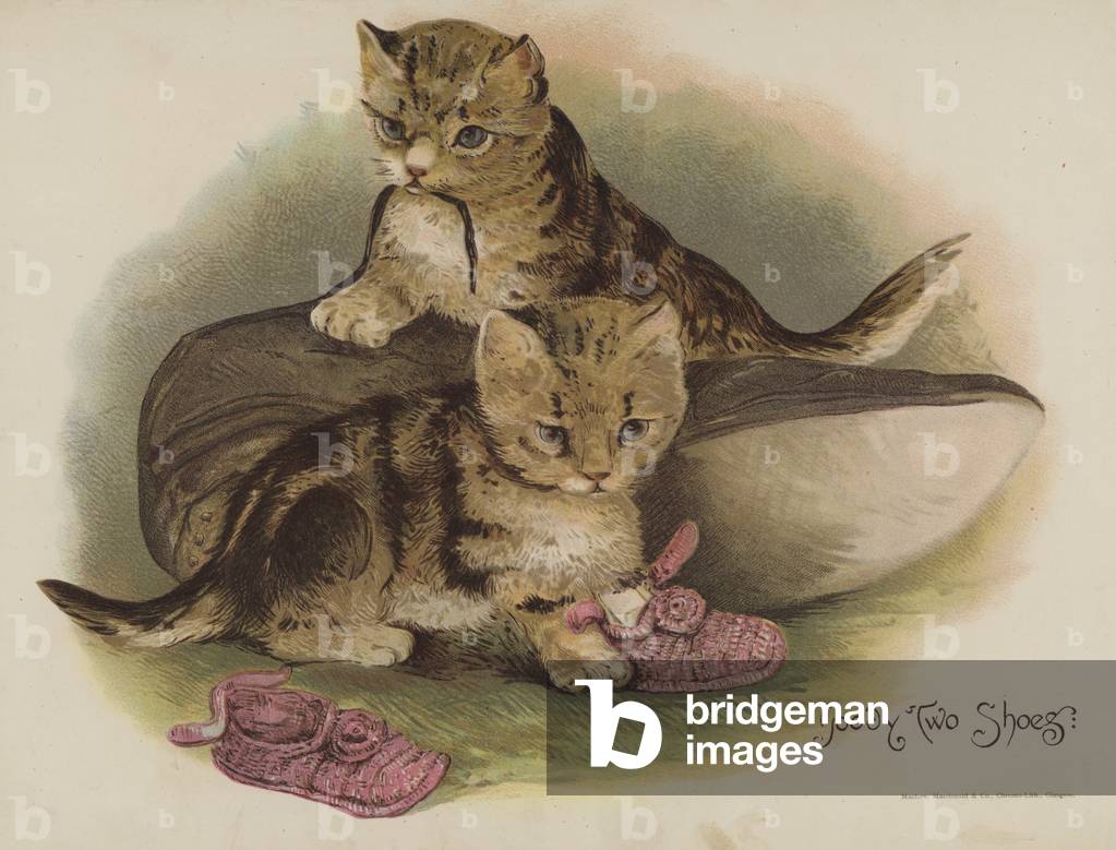 "Goody due scarpe (chromolitho)" di English School