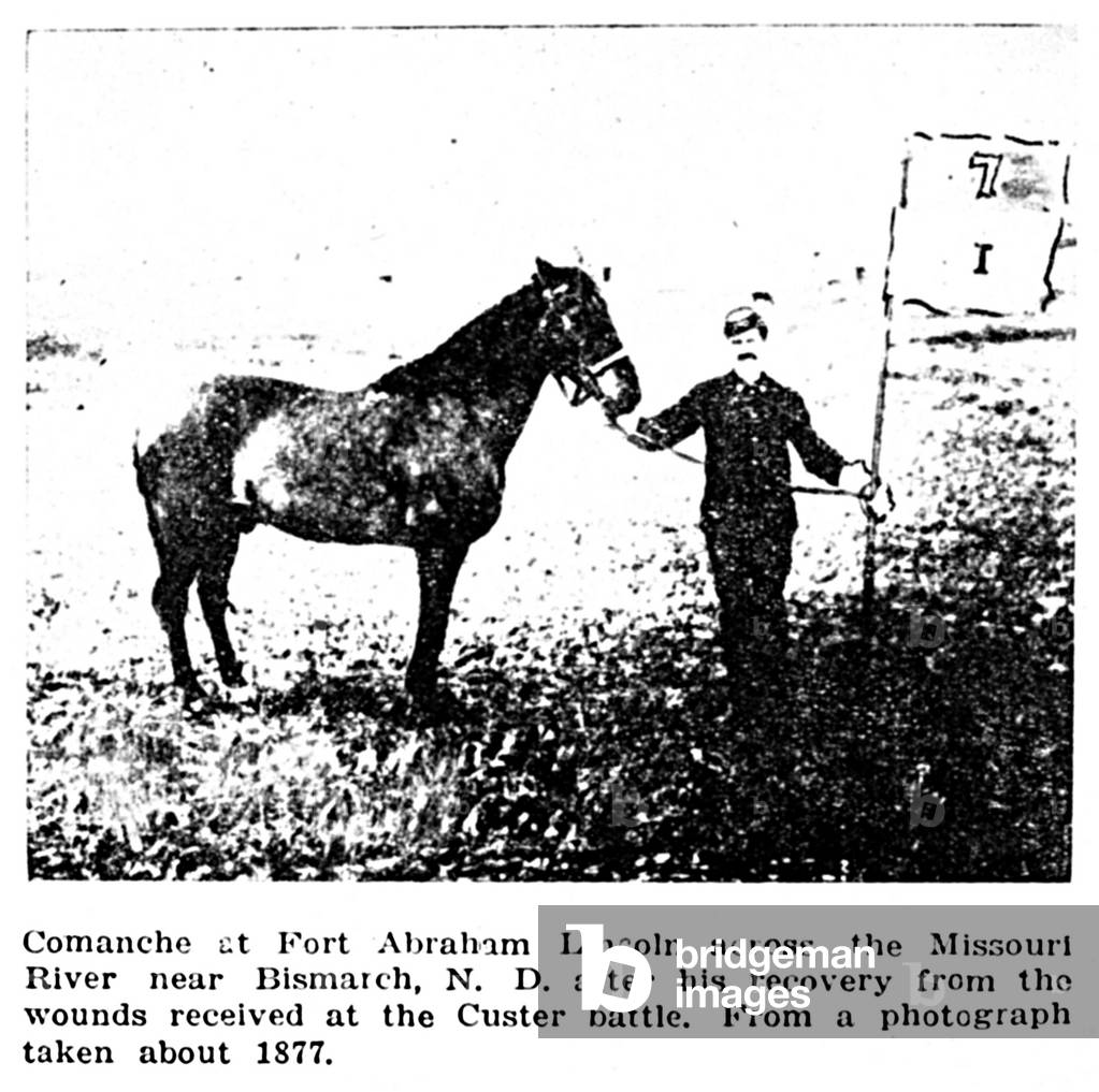 Image of CUSTER'S HORSE COMANCHE Comanche at Fort Abraham Lincoln across the