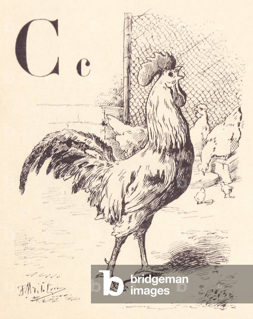 Bild von Druck "C für Hahn" 1901 von Paul Magne de la Croix