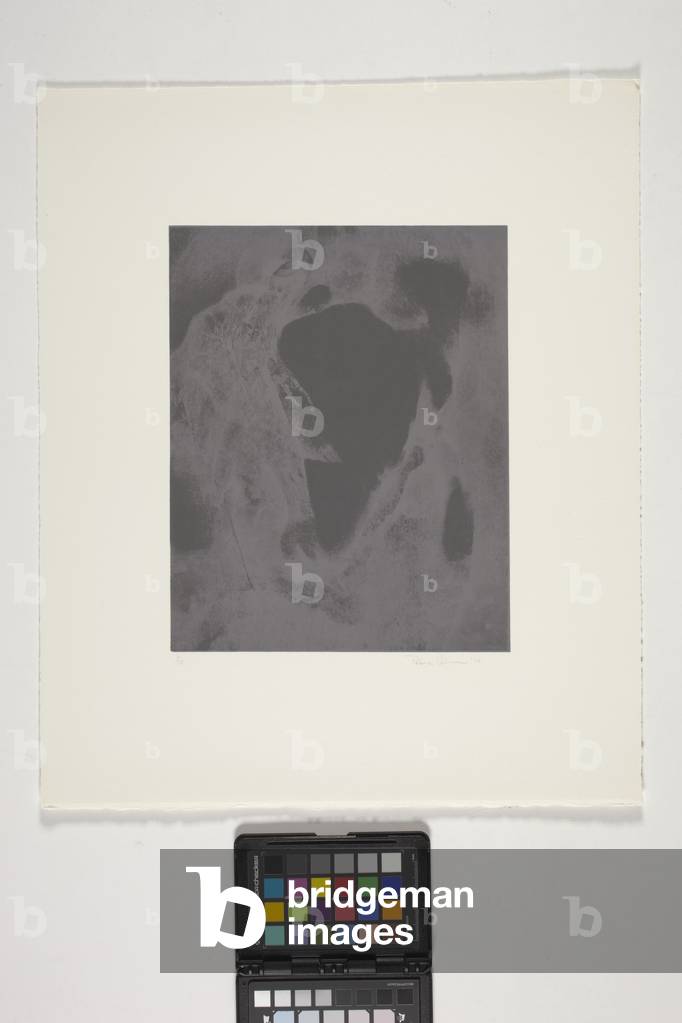 Untitled (colour lithograph)