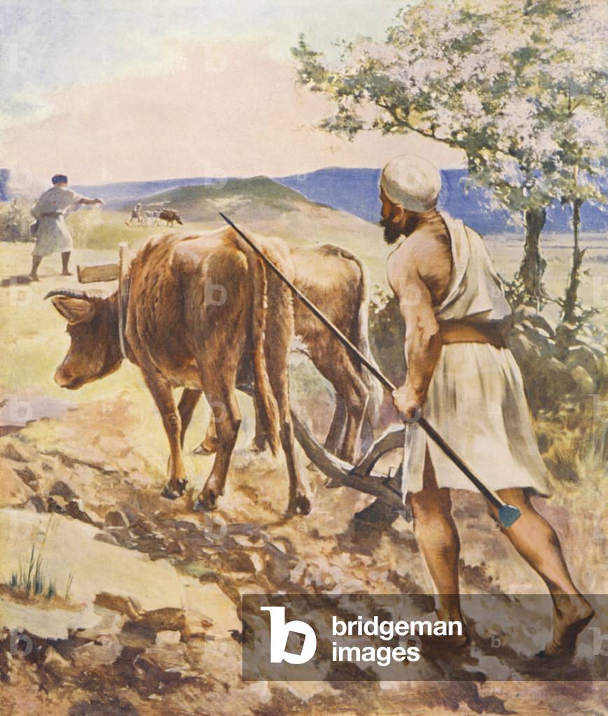 Terre Sainte : labour près de Nazareth (lithographie en couleur)