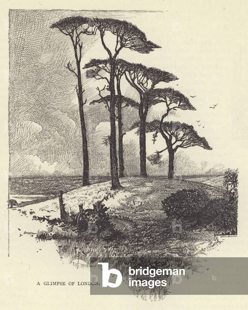 Image of Print depicting A glimpse of London (litho) 1801 by English Artist