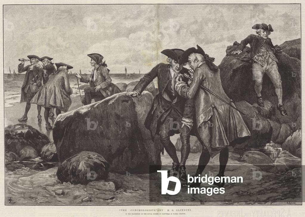 Les Conchologues (gravure) 1886 par Henry Gillard Glindoni