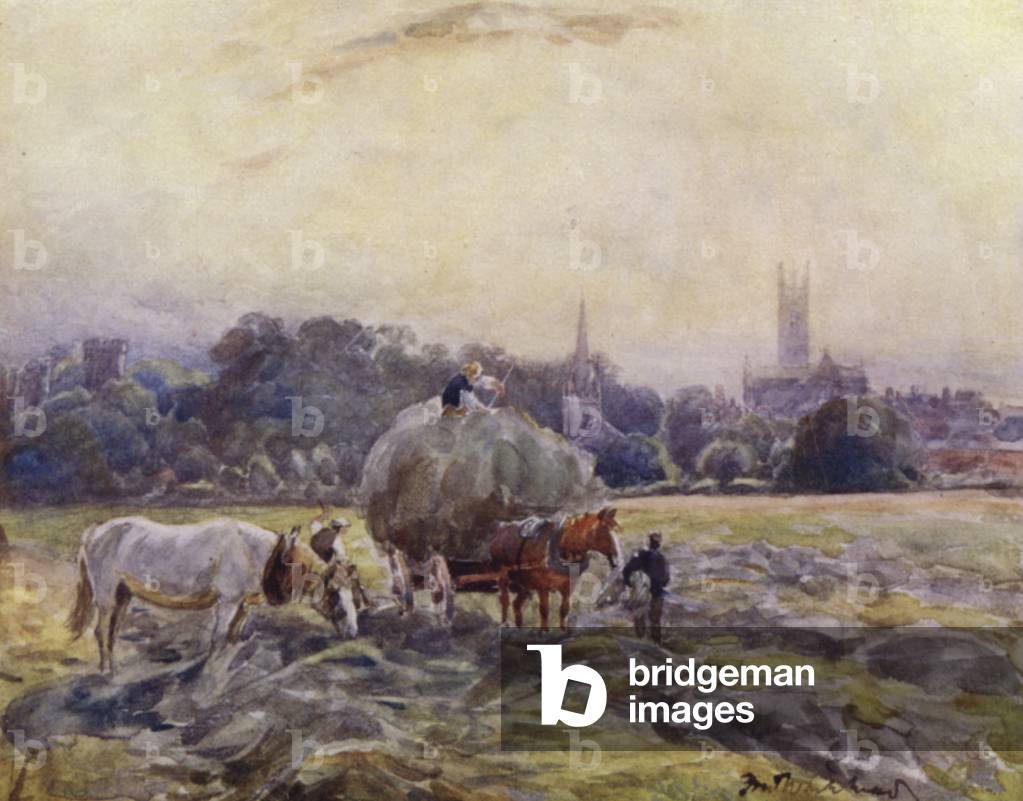 Hayfield, Warwick (colore lito)