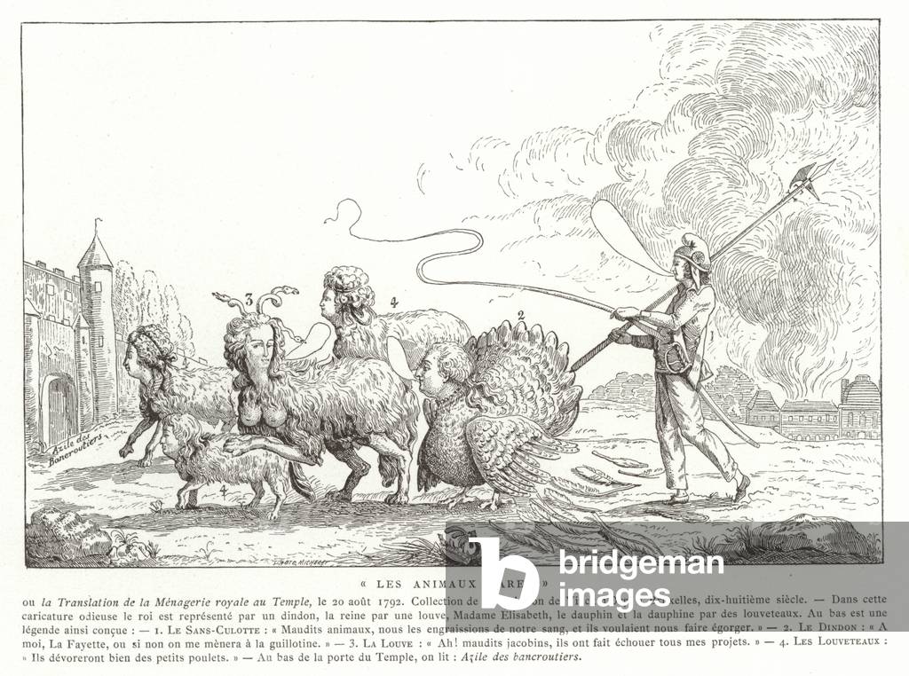 "Animali rari (incisione)" 1801 di French School