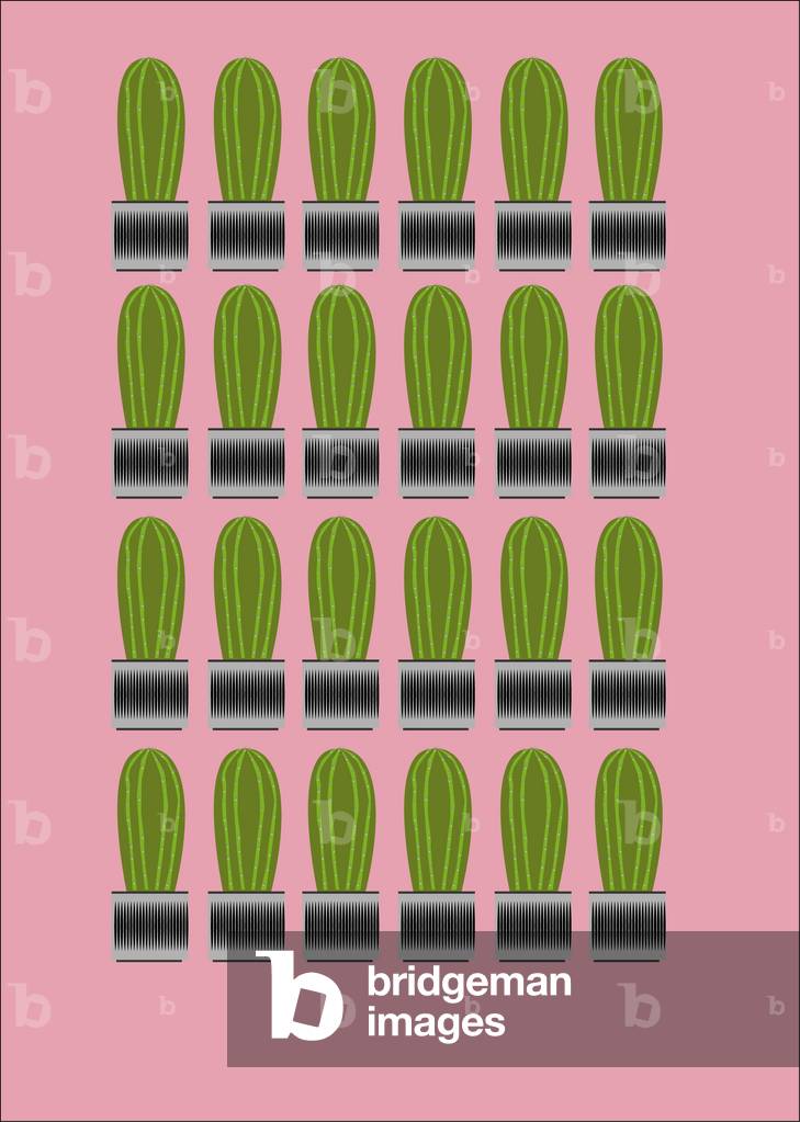 "Cactus moltiplicato sul rosa" 2019 di Bryony MacQueen