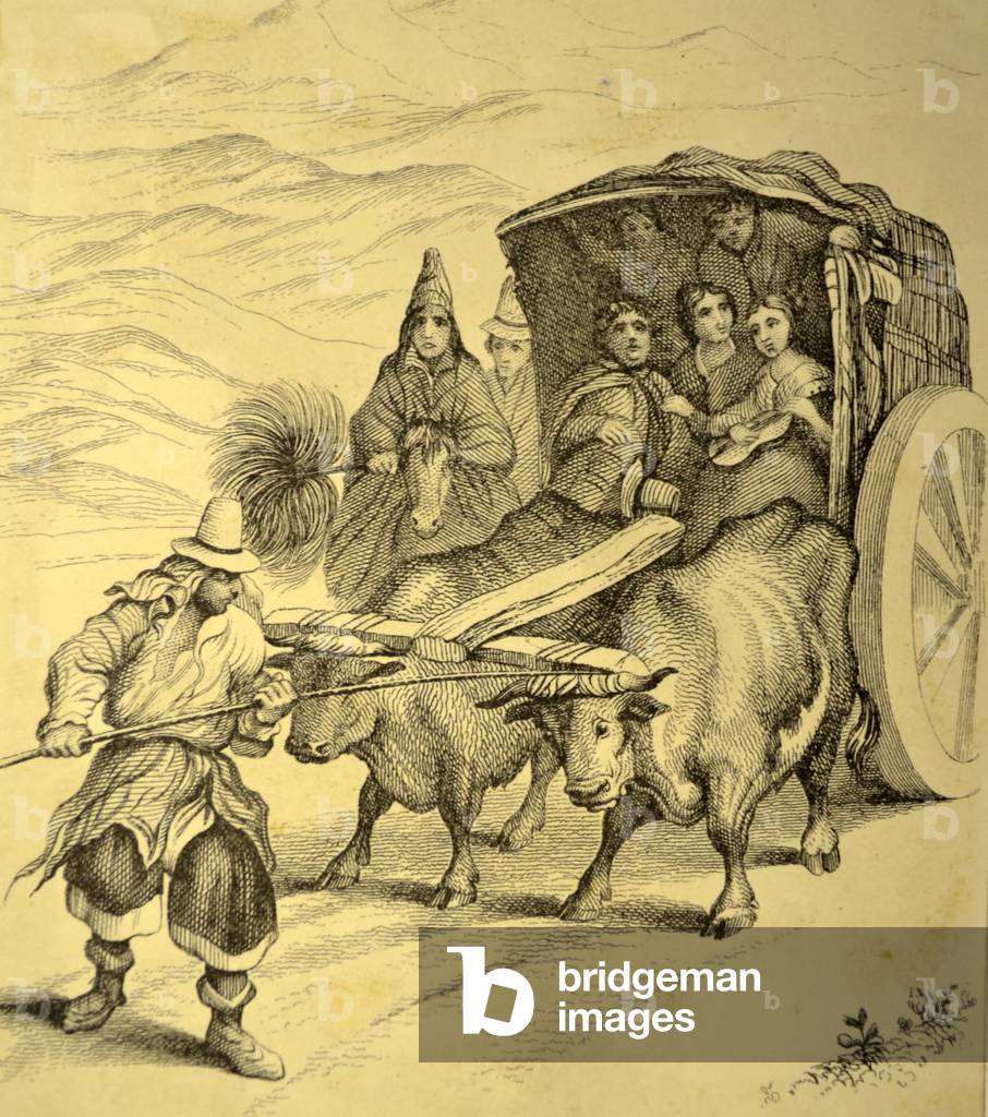 Reisen von Ox-Cart, 1882 (Gravur)