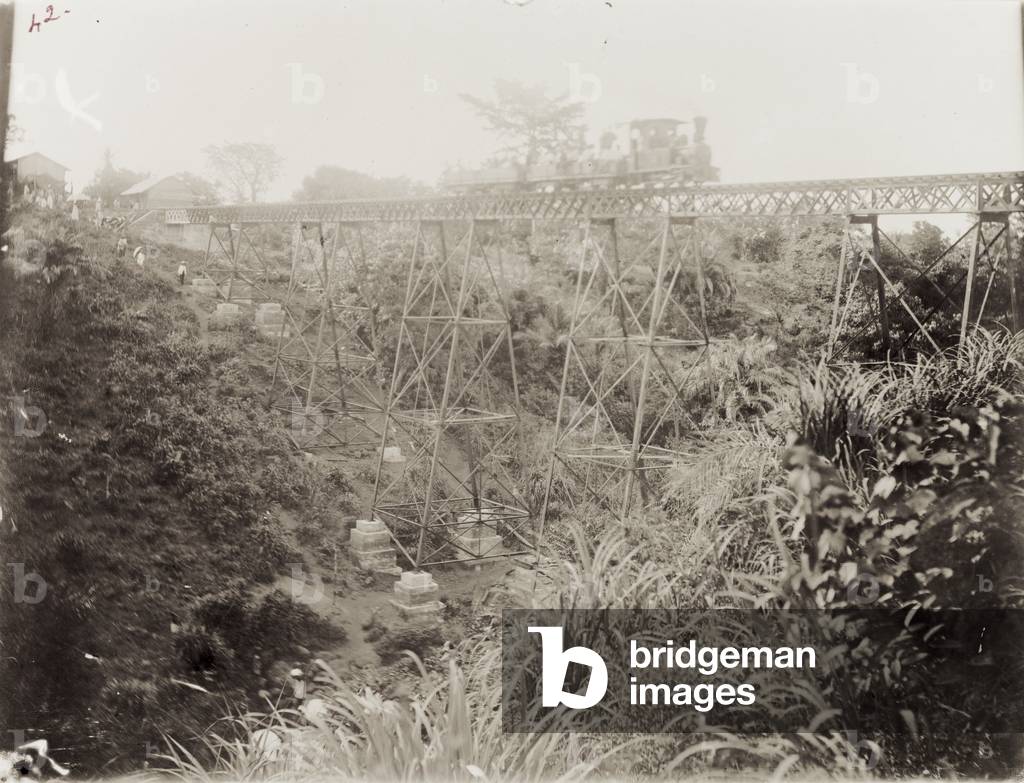 Image of Photography depicting Wellington Viaduct 1897